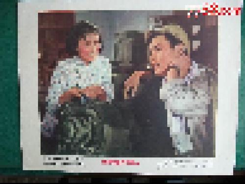 怎么购买斯洛伐克护照扫描件